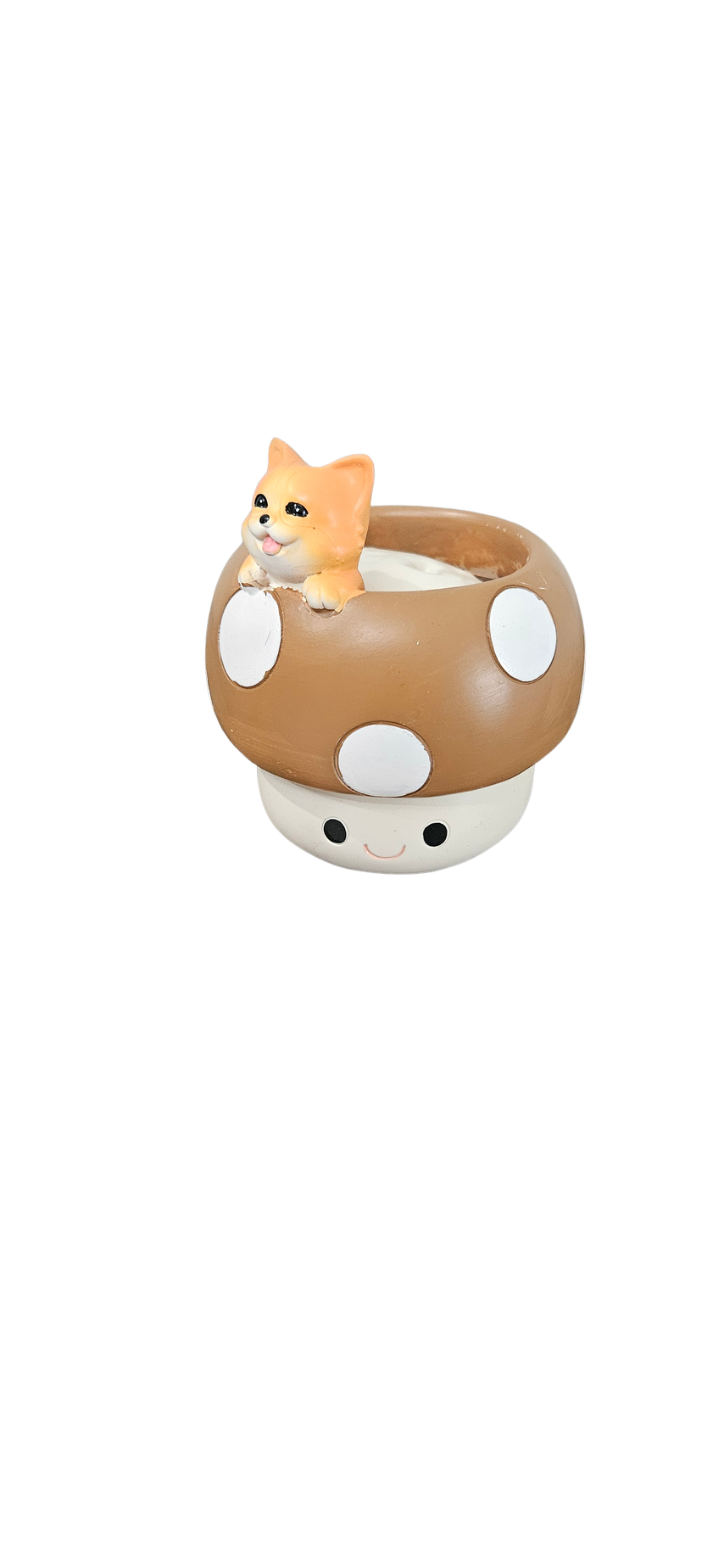 Brown Mushroom