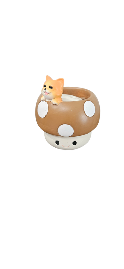 Brown Mushroom