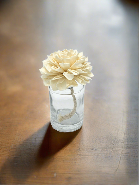 Luxury Oil Diffuser
